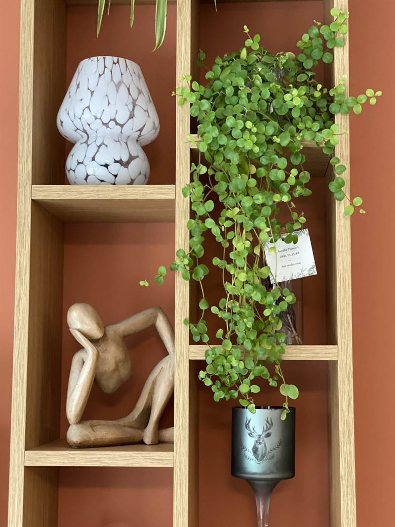 Meubles de salon-séjour bois et blanc à Naast 5