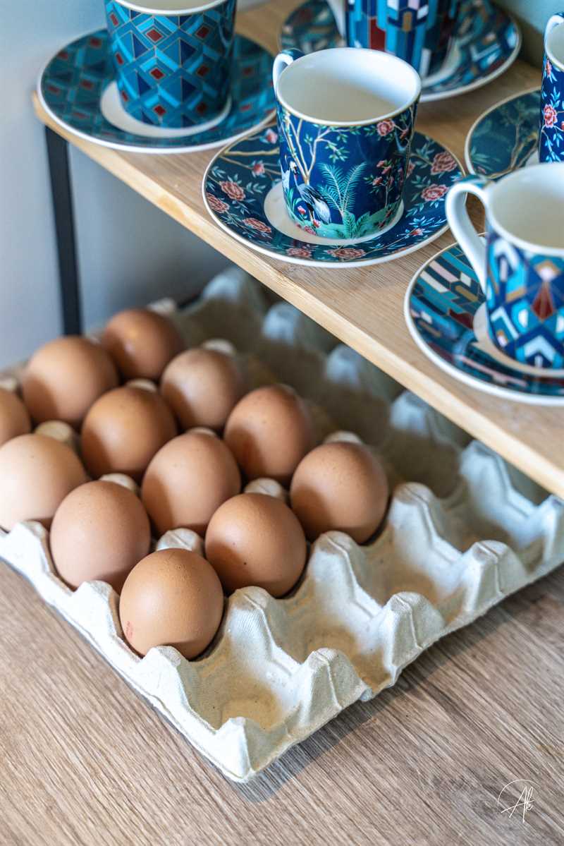 Cuisine fermée de style nature bois, blanc et vert à Bressols 5