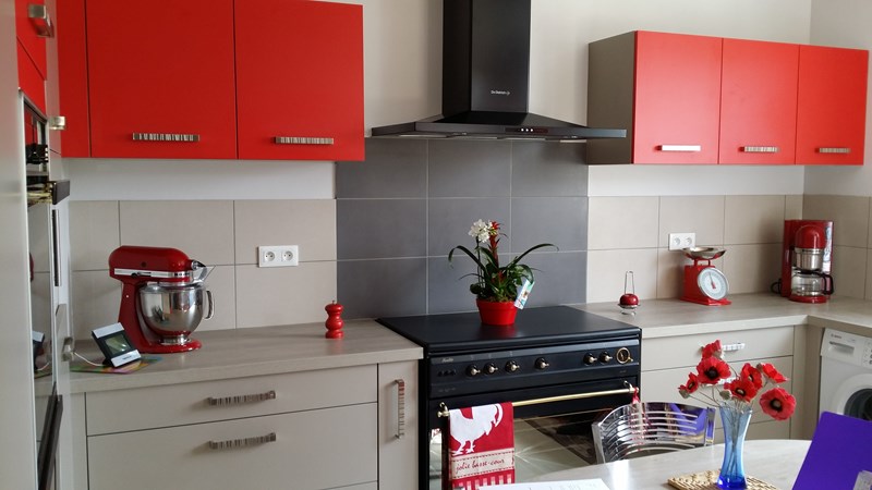 Cuisine contemporaine gris clair et rouge à Niort | Raison Home - 5